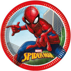 Spiderman Party