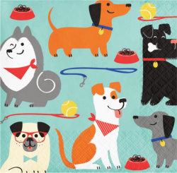 Hunde und Katzen Party