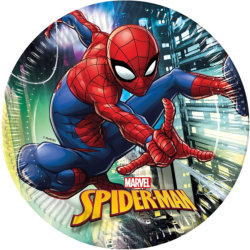 Spiderman Party Deko