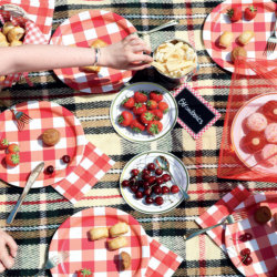 Picknick